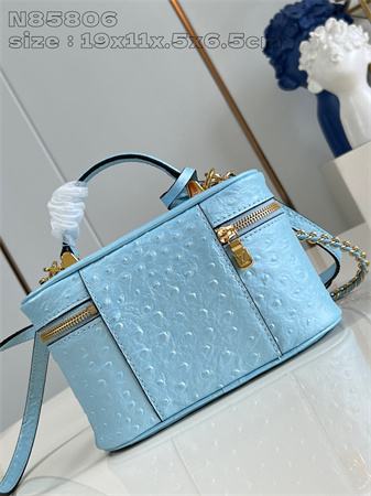 L.V Vanity Chain Pouch Ostrich Leather Blue N85820