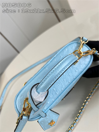 L.V Vanity Chain Pouch Ostrich Leather Blue N85820