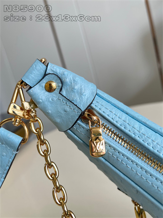 L.V Loop Handbag Ostrich leather Blue N85900