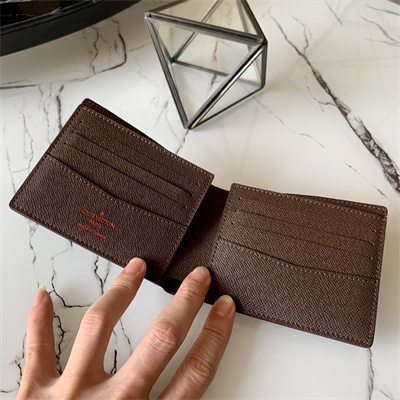 L.V Slender Wallet Damier Ebene N61208
