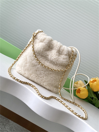 Ch*el 22 mini handbag shearling wool and gold tone metal as3980