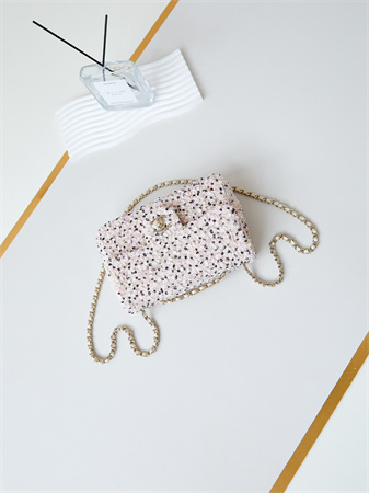 Cha.nel Evening Bag Sequins & Gold-Tone Metal White & Silver AS4298