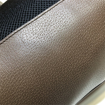 Gu.cci Ophidia GG small backpack 547965