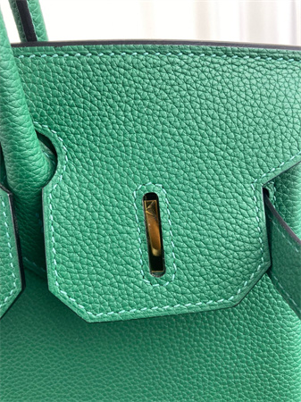 Bir.kin Bag TOGO Leather 25/30/35CM Gold/Silver Hardware In Vert Verigo Color HS