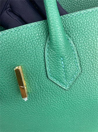 Bir.kin Bag TOGO Leather 25/30/35CM Gold/Silver Hardware In Vert Verigo Color HS