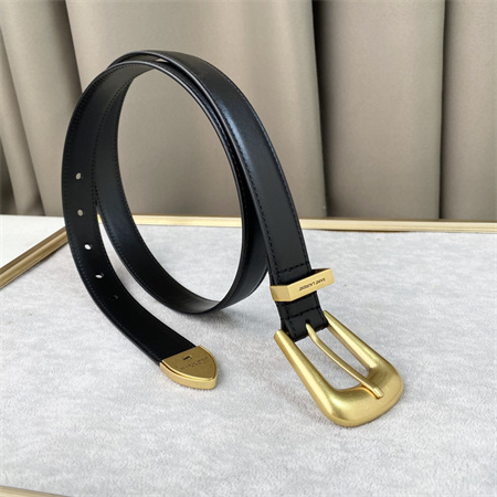 Y*L belts in leather 25mm gold hardware black