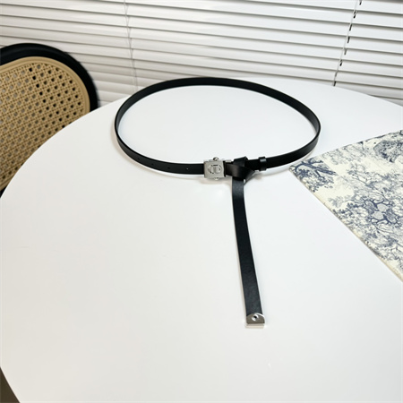 D*or belts in calfskin 17mm gold/silver hardware color options