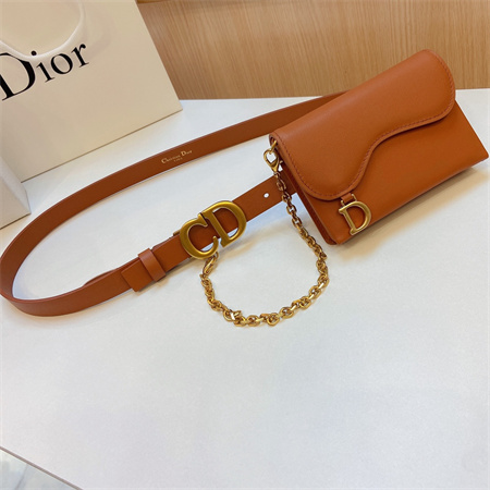 D*or belt with bag in calfskin 20mm gold hardware color options