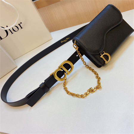 D*or belt with bag in calfskin 20mm gold hardware color options