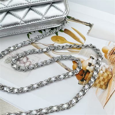 Ch*el wallet on chain lambskin silver tone metal silver ap0250