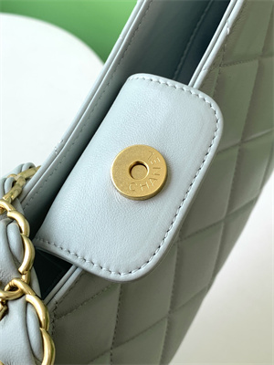 Cha.nel Hobo Handbag Lambskin & Gold-Tone Metal Grey AS5177