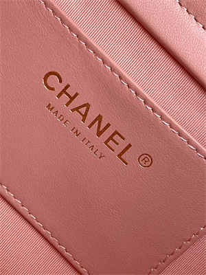 Cha.nel Hobo Handbag Lambskin & Gold-Tone Metal Pink AS5177