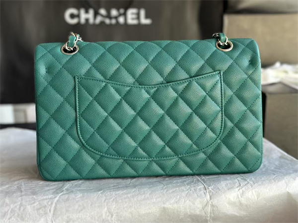 Ch*el medium classic flap bag grained calfskin silver tone metal green 01112