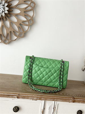 Cha.nel Medium Classic Flap Bag Lambskin Iridescent Metal Green/Blue 01112