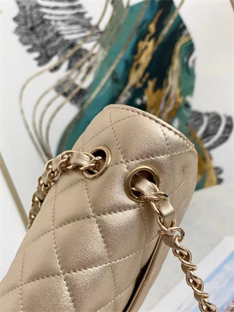 Ch*el medium classic flap bag iridescent lambskin gold tone metal champagne gold 01112