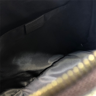 gu.cci ophidia small toiletry case brown gg S*p*e canvas 572761