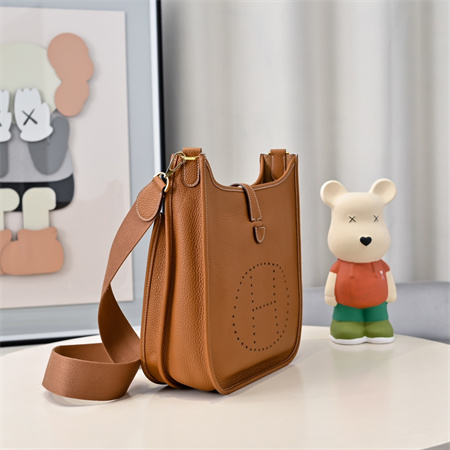 Evelyne III PM Bag In Gold(options)