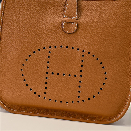 Evelyne III PM Bag In Gold(options)