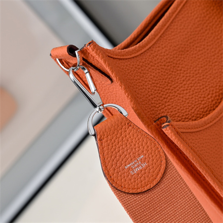 Evelyne III PM Bag In Orange(options)