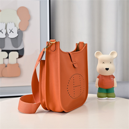 Evelyne III PM Bag In Orange(options)