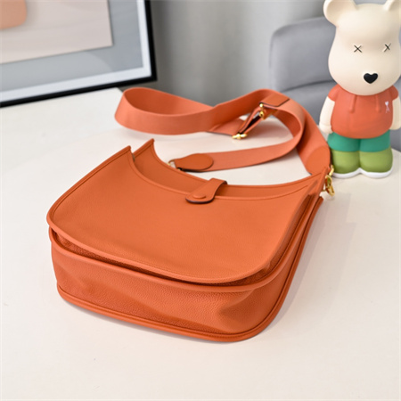 Evelyne III PM Bag In Orange(options)