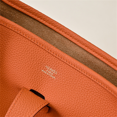 Evelyne III PM Bag In Orange(options)