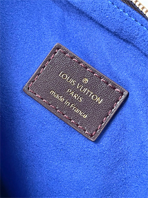 L.V Coussin Coussin Hobo MM Bag Calf Leather Chocolat M12072