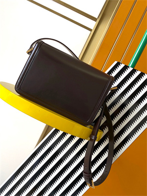 Y.S.L SOLFERINO MEDIUM SATCHEL IN BOX SAINT LAUREN Gold Tone Metal Coffee Color