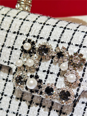 Roger Vivier Jewel Efflorescence Mini Bag In Tweed White/Black