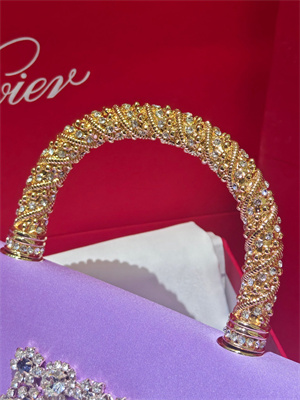 Roger Vivier Jewel Efflorescence Mini Bag In Satin Purple