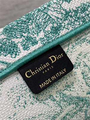 CD Large Book Tote Black Toile de Jouy Embroidery Green