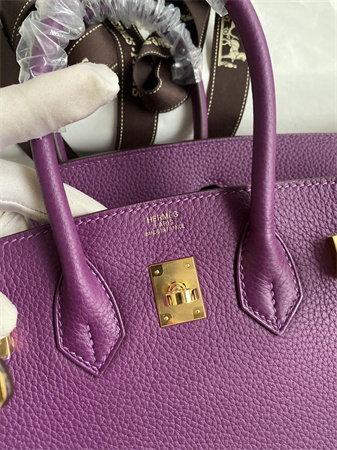 Bir.kin Bag Togo Leather 25/30/35 Gold/Silver Hardware In Anemone Color HS