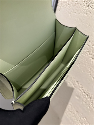 Constance Bag Epsom Leather 18CM Gold/Silver Tone Metal In Vert Fizz Color HS (With mirror)