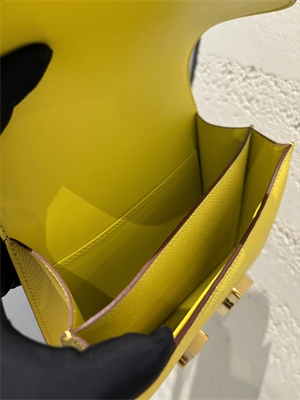 Constance Bag Epsom Leather 18CM Gold/Silver Tone Metal In Jaune Amber Color HS (With mirror)