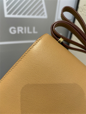 Constance Bag Epsom Leather 18CM Gold/Silver Tone Metal In Chai Color HS (With mirror)