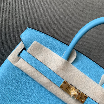 Bir.kin Bag Togo Leather 25/30/35 Gold/Silver Hardware In Blue du Nord Color HS