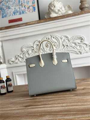 Bir.kin Sellier Bag Epsom Leather 25CM Gold/Silver Hardware In Blue Glacier/Craie HS