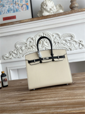 Bir.kin Sellier Bag Epsom Leather 25CM Gold/Silver Hardware In Craie/Black HS