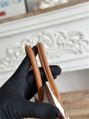 Bir.kin Sellier Bag Epsom Leather 25CM Gold/Silver Hardware In Craie/Gold HS