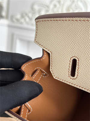 Bir.kin Sellier Bag Epsom Leather 25CM Gold/Silver Hardware In Craie/Gold HS