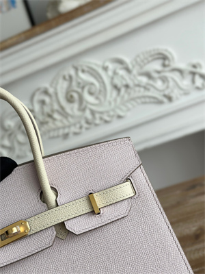 Bir.kin Sellier Bag Epsom Leather 25CM Gold/Silver Hardware In Mauve Pale/Craie HS