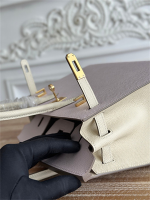 Bir.kin Sellier Bag Epsom Leather 25CM Gold/Silver Hardware In Mauve Pale/Craie HS