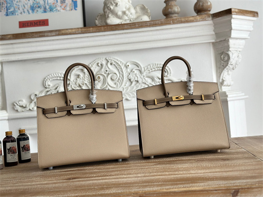 Bir.kin Sellier Bag Epsom Leather 25CM Gold/Silver Hardware In Trench/Etoupe HS