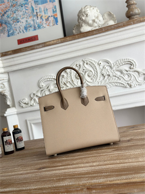 Bir.kin Sellier Bag Epsom Leather 25CM Gold/Silver Hardware In Trench/Etoupe HS