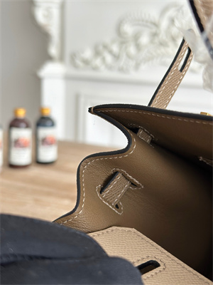 Bir.kin Sellier Bag Epsom Leather 25CM Gold/Silver Hardware In Trench/Etoupe HS