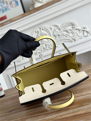 Bir.kin Sellier Bag Epsom Leather 25CM Gold/Silver Hardware In Craie/Jaune Poussin HS