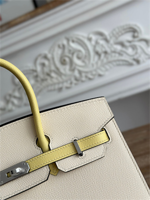 Bir.kin Sellier Bag Epsom Leather 25CM Gold/Silver Hardware In Craie/Jaune Poussin HS
