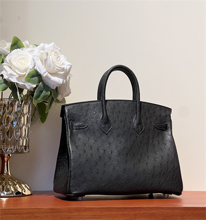 Bir.kin Bag Ostrich Leather 25 Gold/Silver Hardware In Black HS