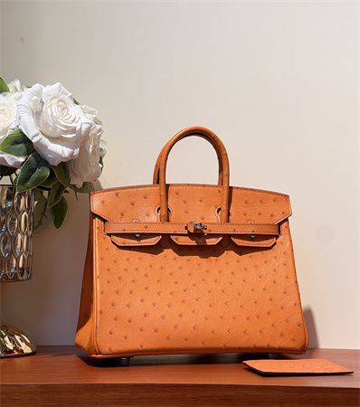 Bir.kin Bag Ostrich Leather 25 Gold/Silver Hardware In Orange HS