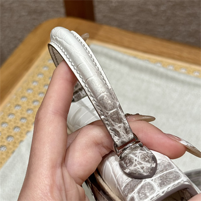 Kelly Mini II Himalayan Bag Niloticus Silver Tone Hardware HS